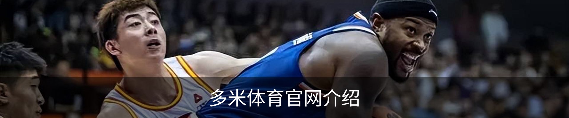 多米体育官网介绍